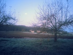 paysage hivernal chez la SARL Renard, maraîcher bio, Yvelines