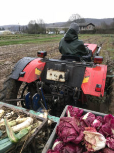 jour d'hiver avec pluie chez SARL Renard, producteur de légumes bio, 78