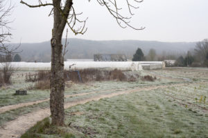 paysage hivernal chez SARL Renard, cultivateur de légumes bio, 78