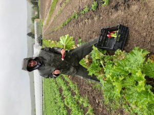 salarié sous la pluie chez SARL Renard, producteur de légumes bio, 78