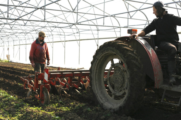 Semaine Nouvelle Dynamique Mara Cher Producteur Bio Vente